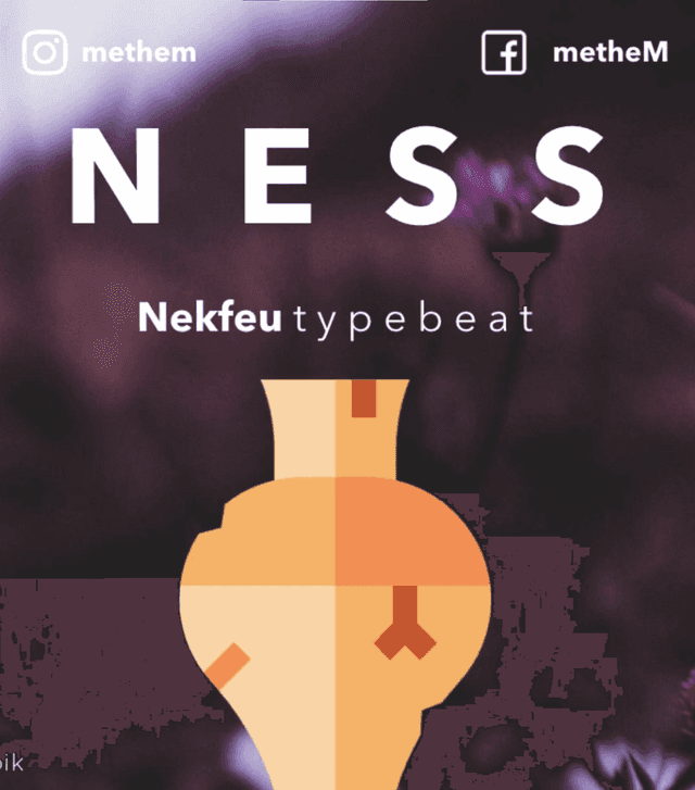 Illustration de l'instrumentale